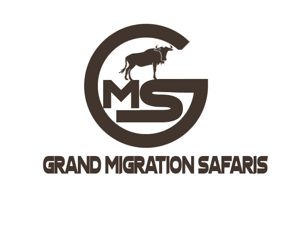 logo-GRAND MIGRATION SAFARIS CO 